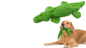 Read more about the article 5 Sustainable Dog Toys Your Pup Will Adore