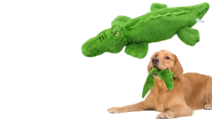 Read more about the article 5 Sustainable Dog Toys Your Pup Will Adore