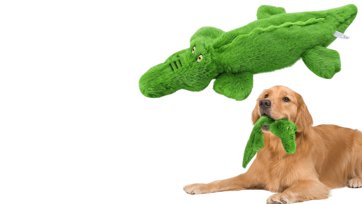 You are currently viewing 5 Sustainable Dog Toys Your Pup Will Adore