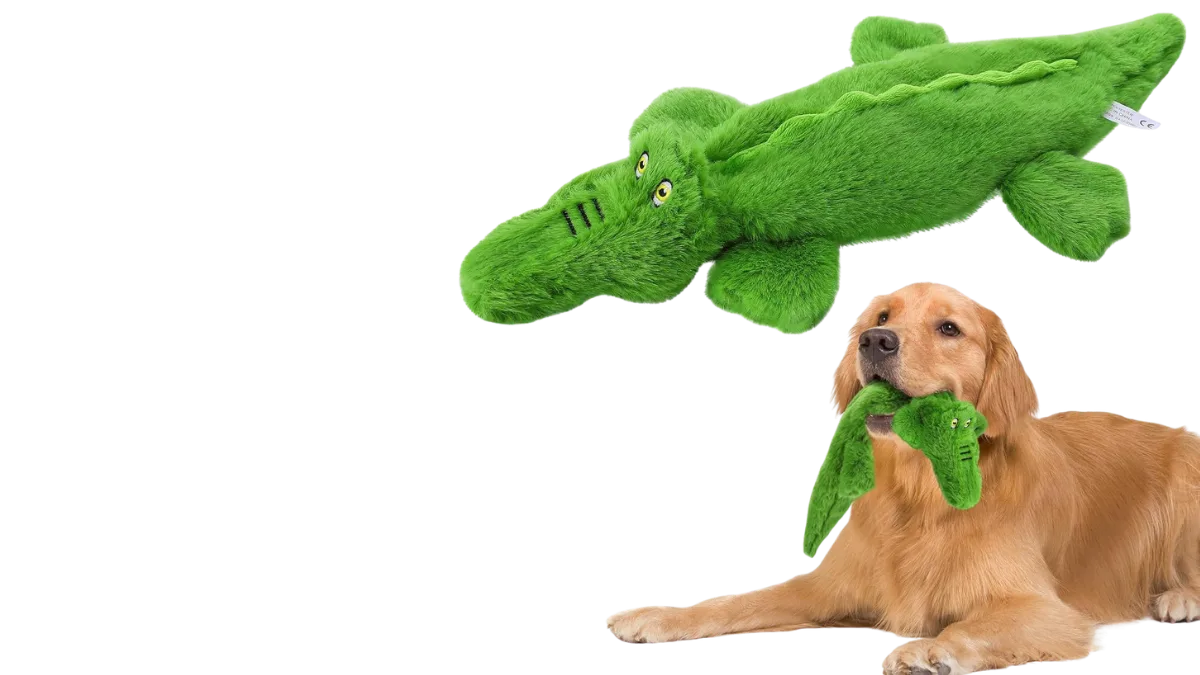 You are currently viewing 5 Sustainable Dog Toys Your Pup Will Adore