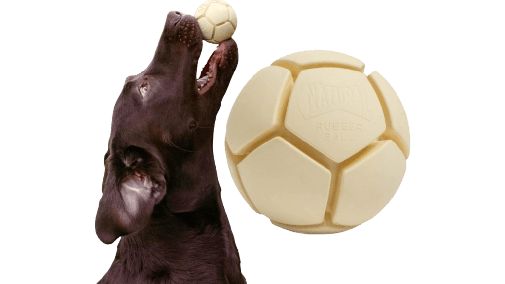 eco friendly dog toys