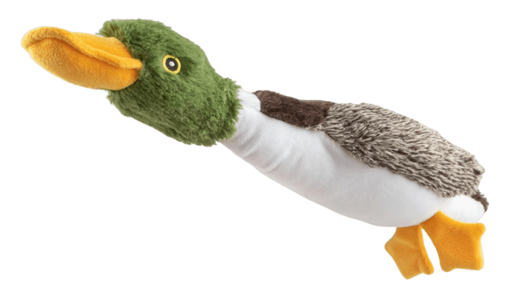 eco friendly dog toys