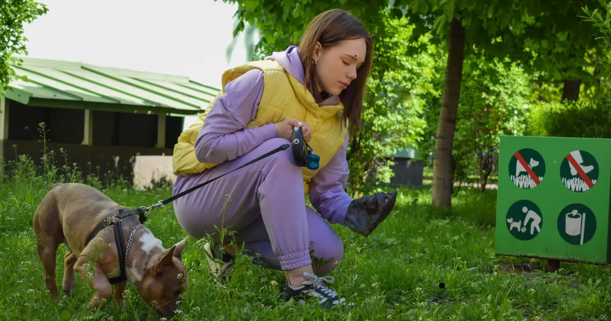 You are currently viewing Biodegradable Dog Poop Bags – The Earth-Friendly Choice.