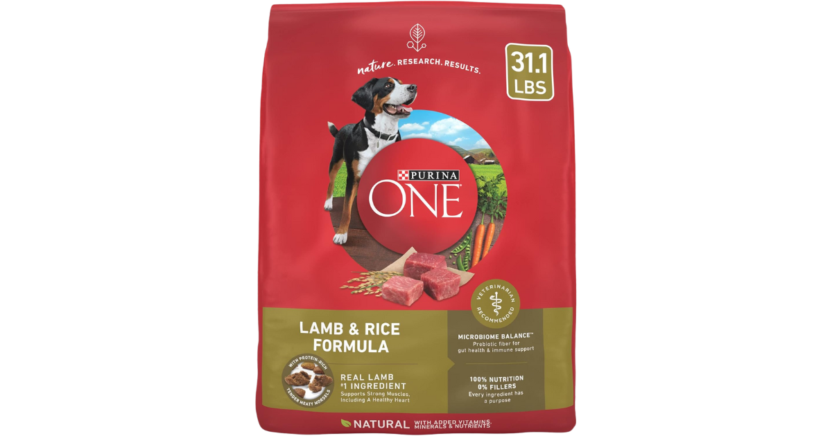 Read more about the article Purina ONE Dog Food Reviews.