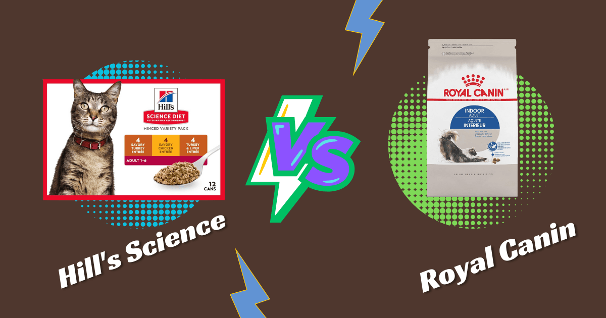 Read more about the article Hills Prescription Cat Food vs Royal Canin.