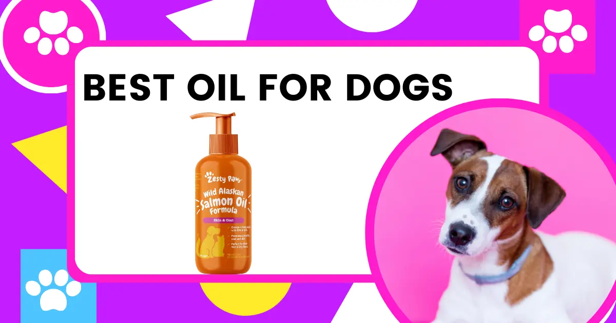 What Is The Best Oil For Dogs Best oil for dogs:What oil is good for dogs itchy skin