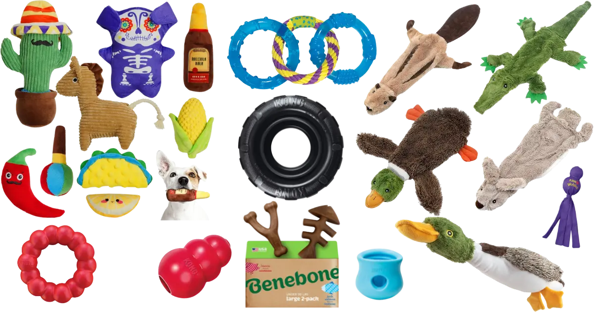 5 Top Rubber Dog Toys: Durable and Fun Picks for Your Furry Friend