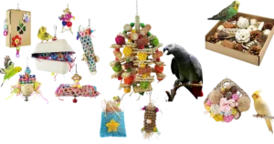 Read more about the article Top Natural Parrot Chew Toys Your Feathered Friend Will Love