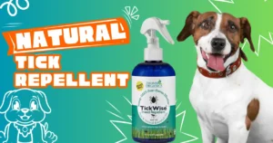 Read more about the article Natural Flea and Tick Repellent for Dogs