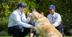 Read more about the article Discover the Best Pet-Safe Pest Control Options