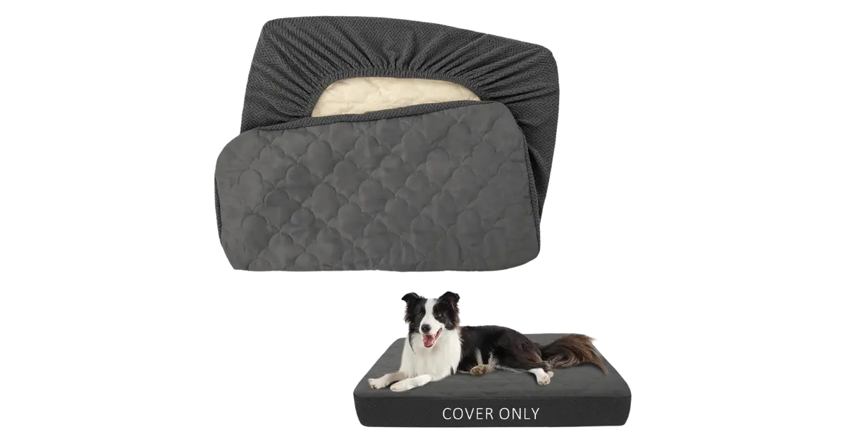 Read more about the article Best Washable Dog Bed Covers