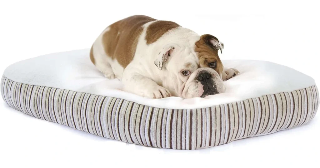best organic dog bed