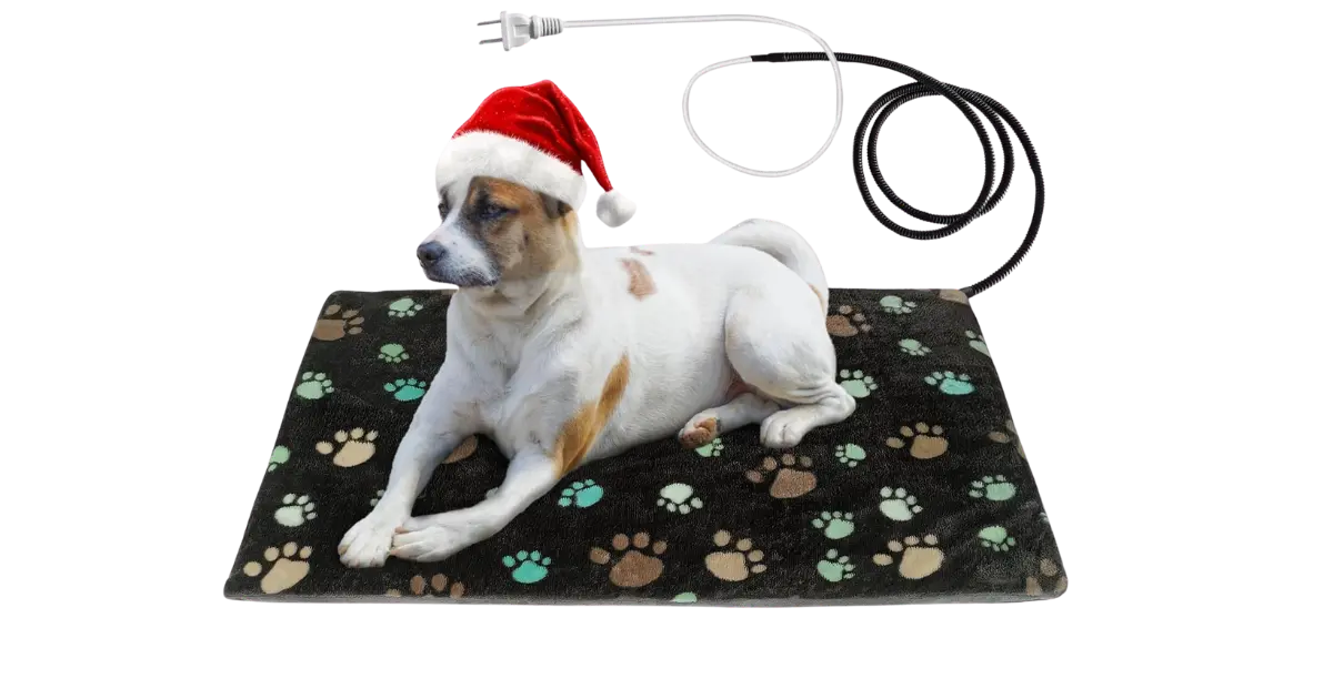 best pemf mat for dogs