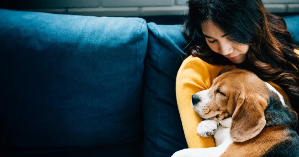 best dry dog food for diarrhea
