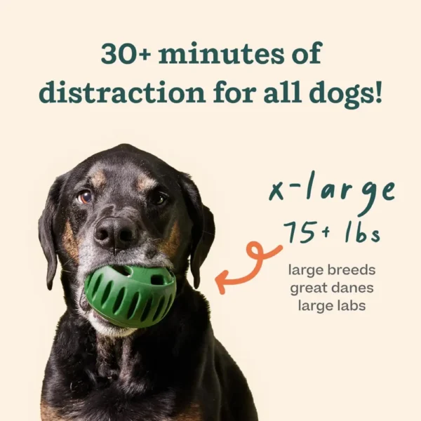 rubber dog toys