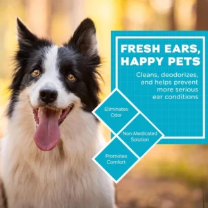 dog ear wipes