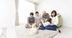 Read more about the article What’s the Best Carpet for Pets? Expert Tips From 10 Years of Experience