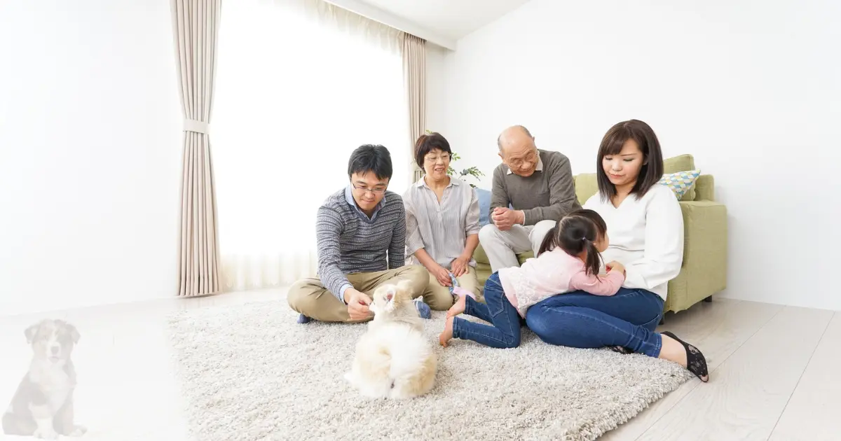 What’s the Best Carpet for Pets? Expert Tips From 10 Years of Experience