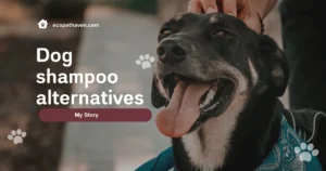 Read more about the article Finding the Best Dog Shampoo Alternative