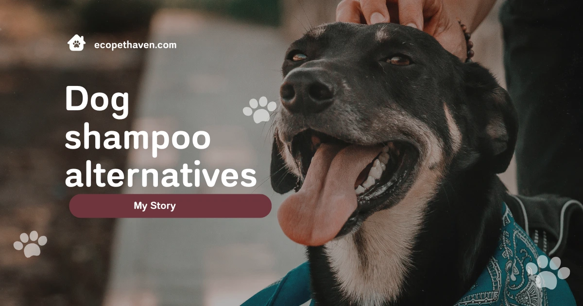 Finding the Best Dog Shampoo Alternative
