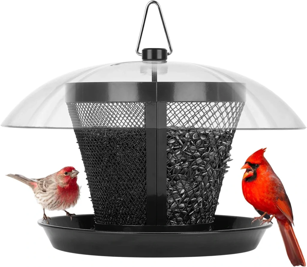 best bird feeder for cardinals