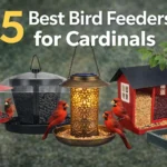 Best Bird Feeders for Cardinals (2026 Buyer’s Guide)