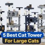 5 Best Cat Tower for Large Cats