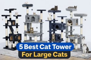 Read more about the article 5 Best Cat Tower for Large Cats