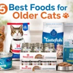 5 Best Foods for Older Cats in 2026 | Healthy Senior Cat Nutrition