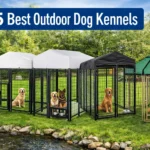 Best Outdoor Dog Kennels in 2026