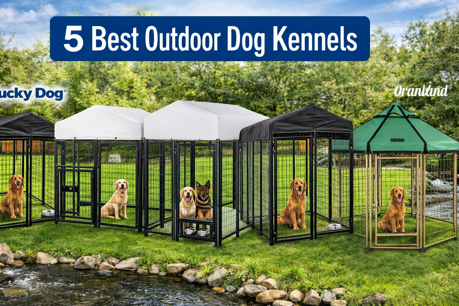 Best Outdoor Dog Kennels in 2026