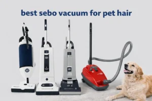 Read more about the article Best Sebo Vacuum for Pet Hair (Top Models Reviewed)