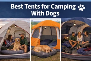 Read more about the article 5 Best Tents for Camping With Dogs (Pet-Friendly Picks)