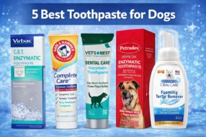 Read more about the article Best Toothpaste for Dogs (Top 5 Safe & Vet-Recommended Options)