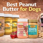 5 Best Peanut Butter for Dogs (Safe, Healthy & Xylitol-Free)