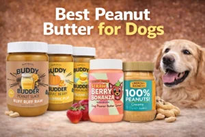 Read more about the article 5 Best Peanut Butter for Dogs (Safe, Healthy & Xylitol-Free)