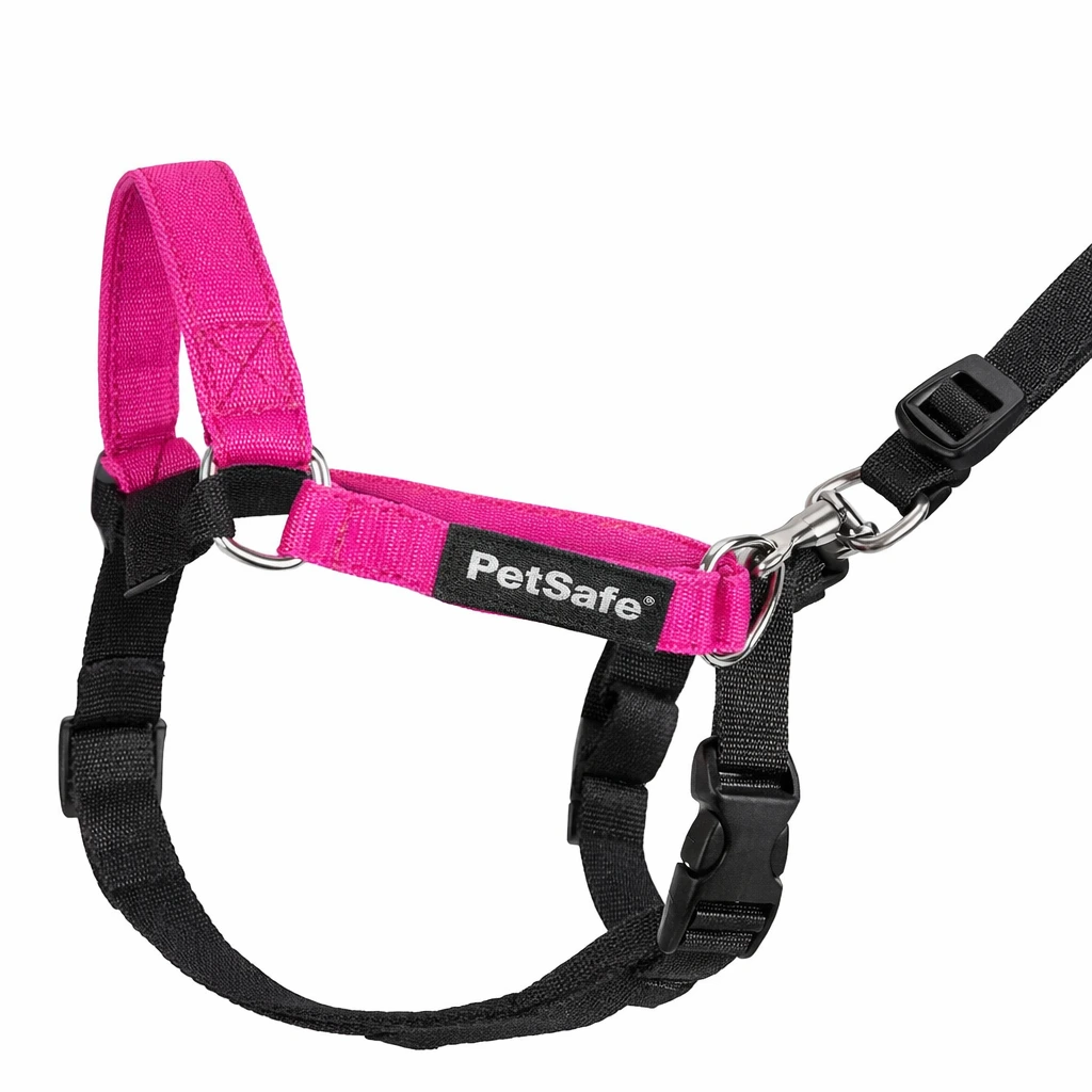 Best Harness For Small Dogs