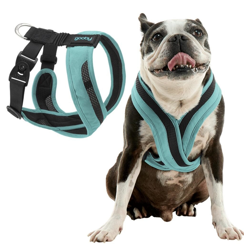 Best Harness For Small Dogs