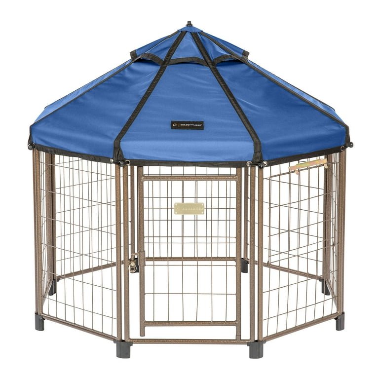 outdoor dog kennel